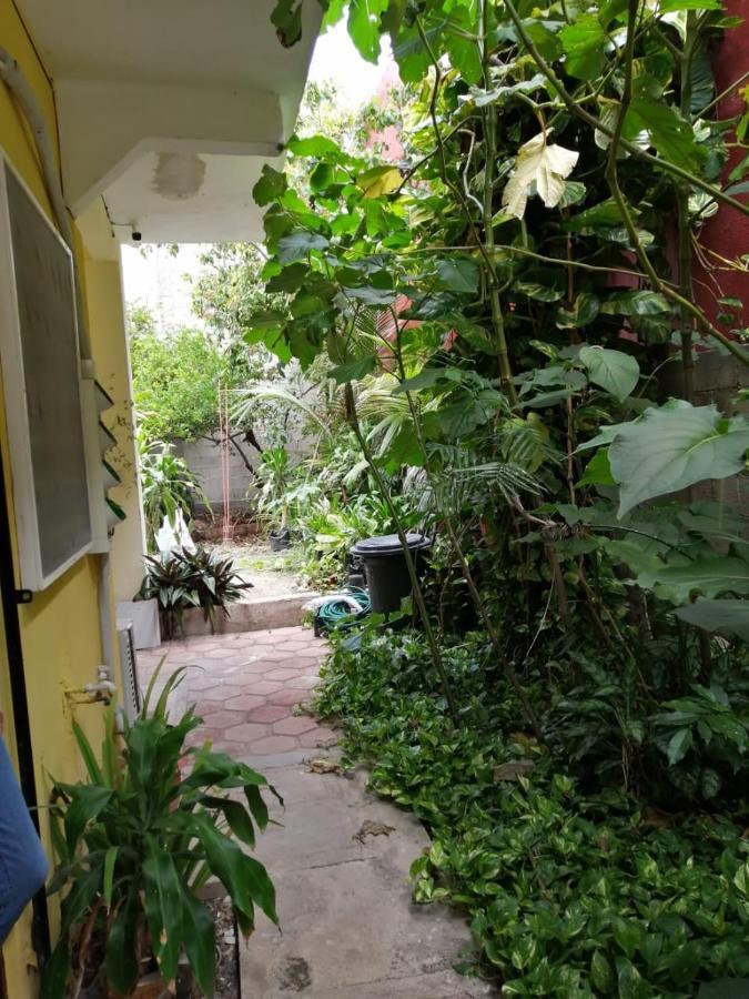 Tucan Playa del Carmen Exterior photo