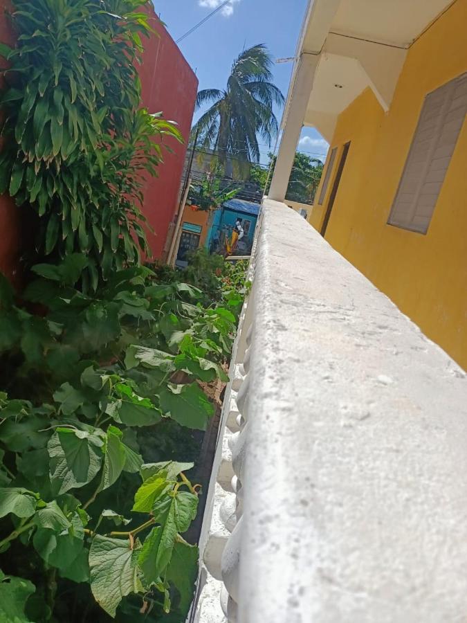 Tucan Playa del Carmen Exterior photo